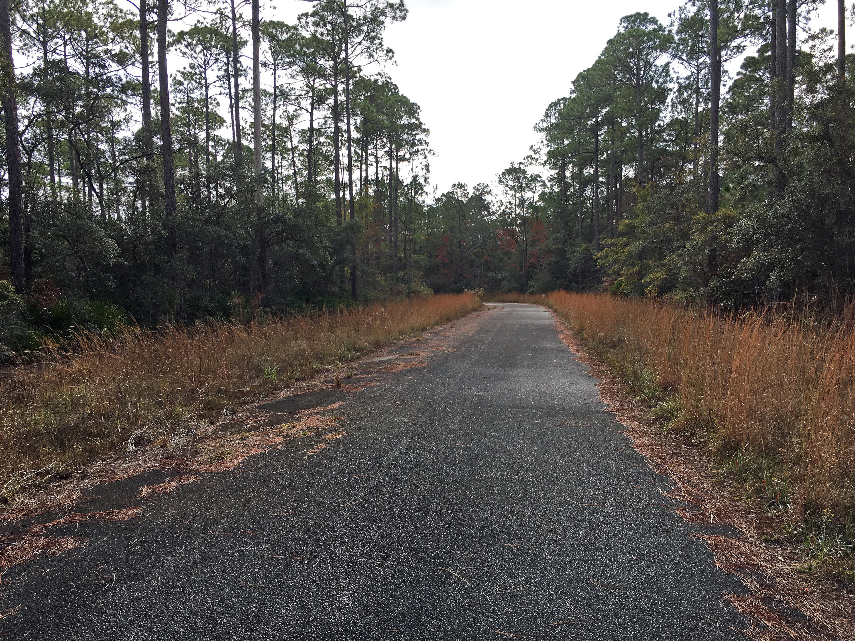 CROSS CREEK SHORES - Land