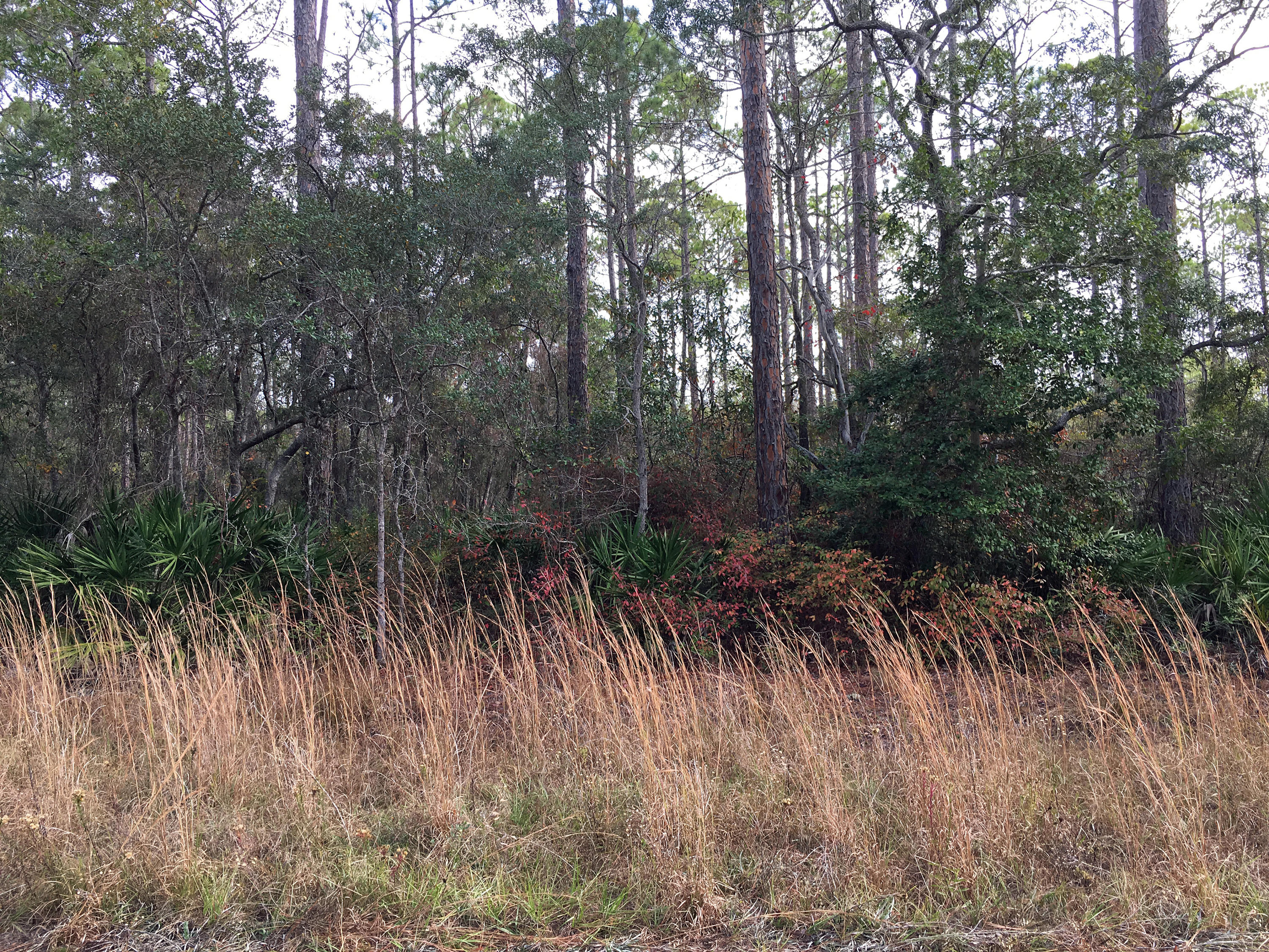CROSS CREEK SHORES - Land