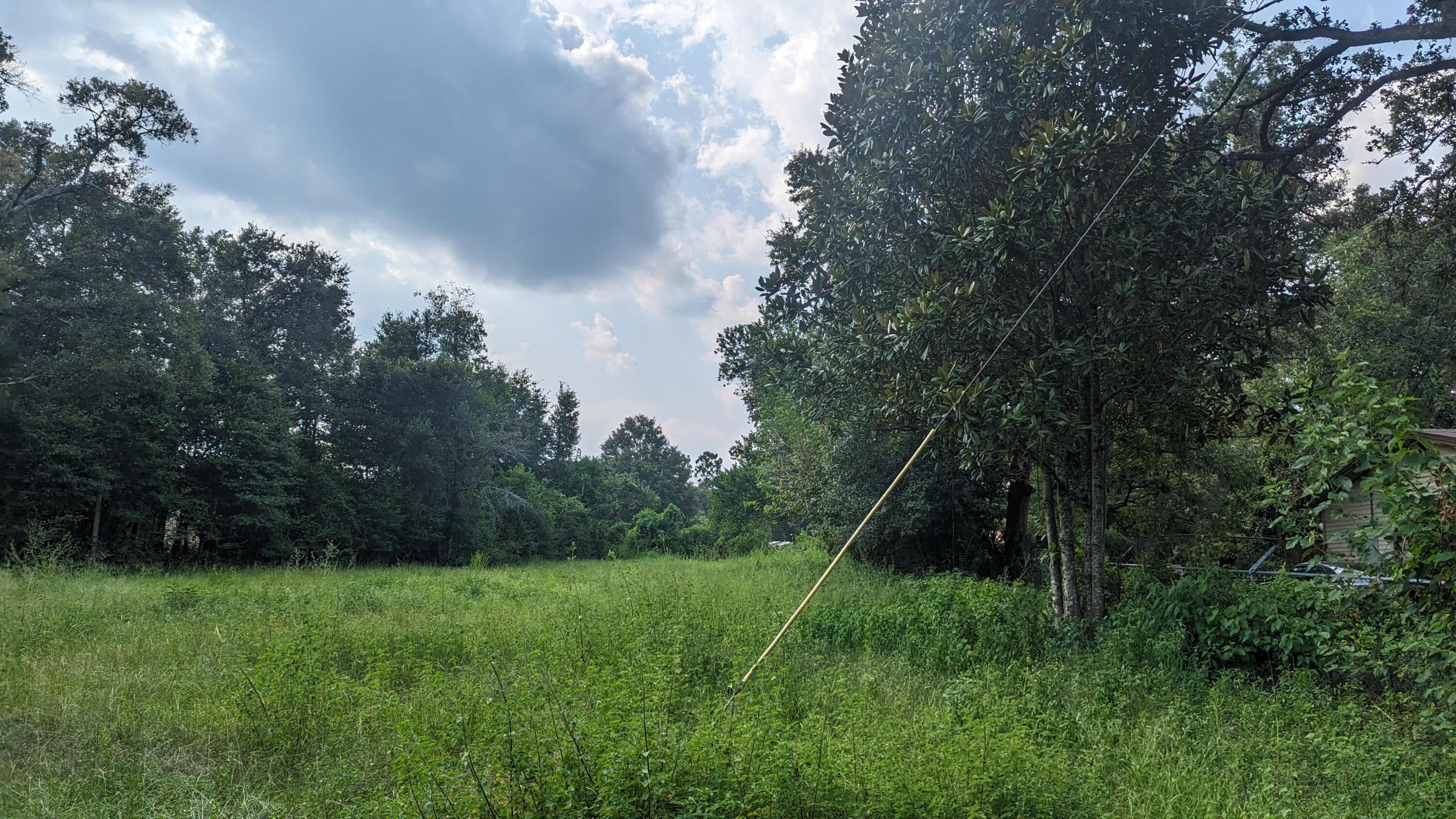 OLIVE HEIGHTS - Land