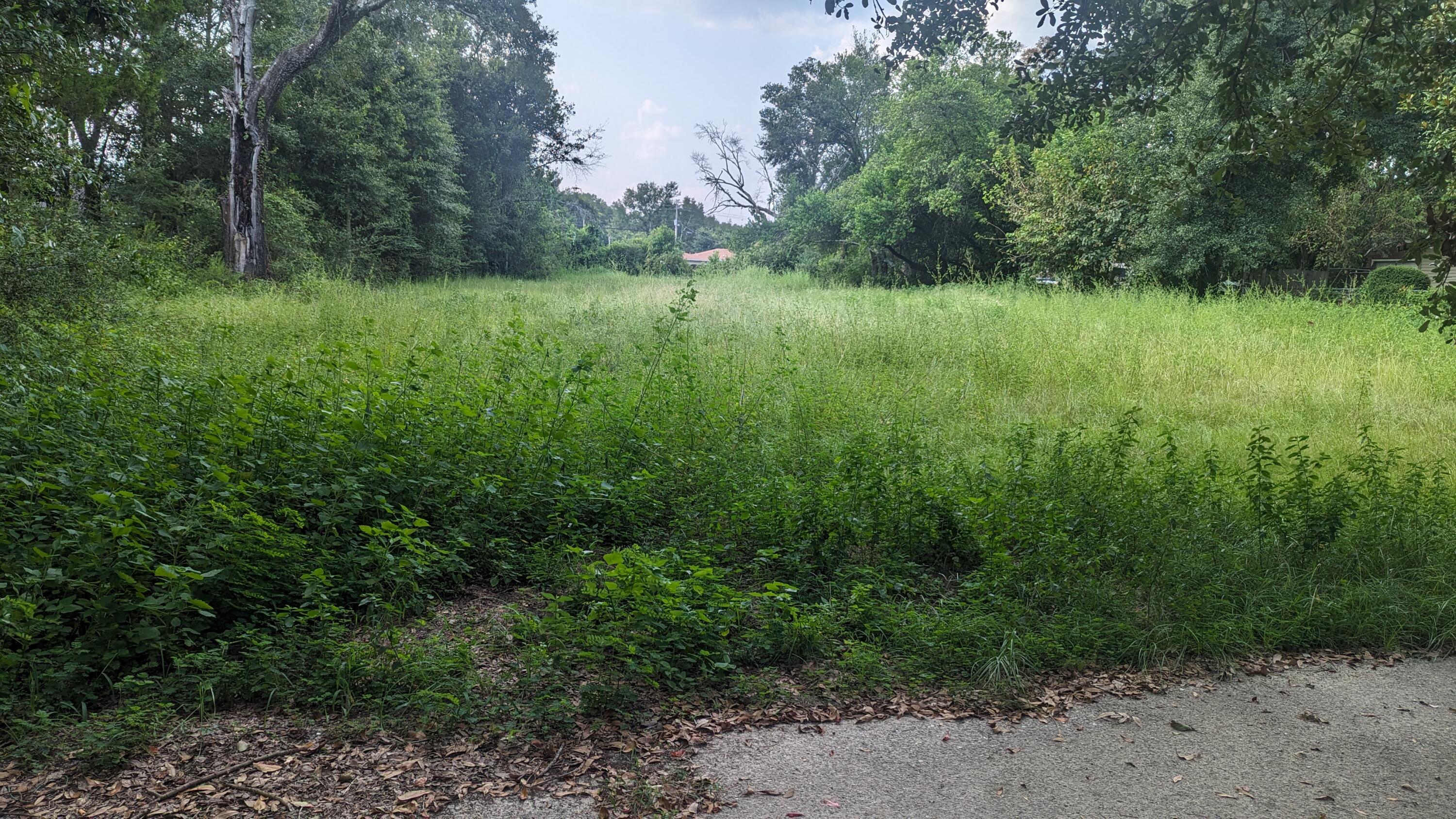 OLIVE HEIGHTS - Land