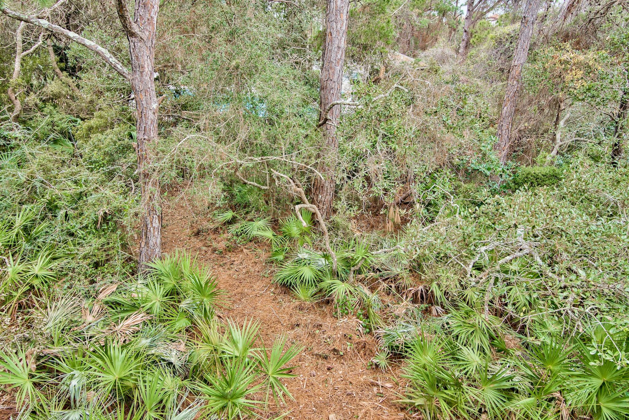 CASSINE VILLAGE - Residential