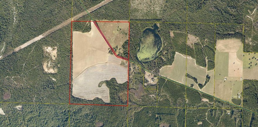 240 acres of prime farmland and some of the best hunting in North Walton County is now available!! Take a look at this farm with established acreage for row crops, pastureland, a small pond and a home waiting to be loved by a new owner. Property is on both North and South sides of Thad Bell Road. It is fenced and cross fenced with a large hay barn and a smaller shed behind home. Farm even comes with its own windmill!! Take a look and come home to country living today!
