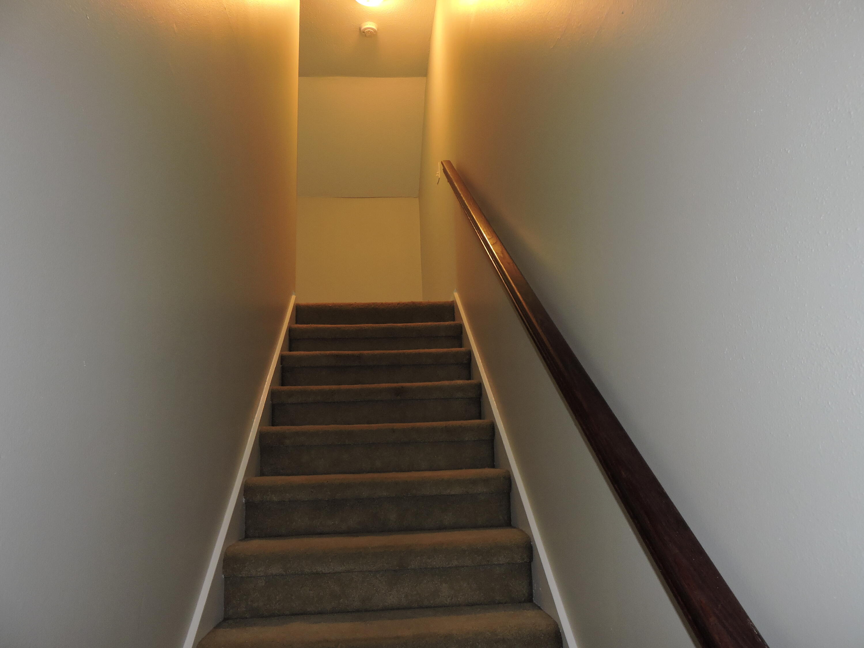 BEAVER CREEK - Residential Lease