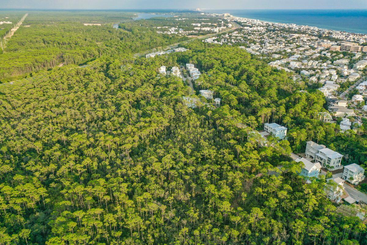 TREETOP VILLAGE - Land