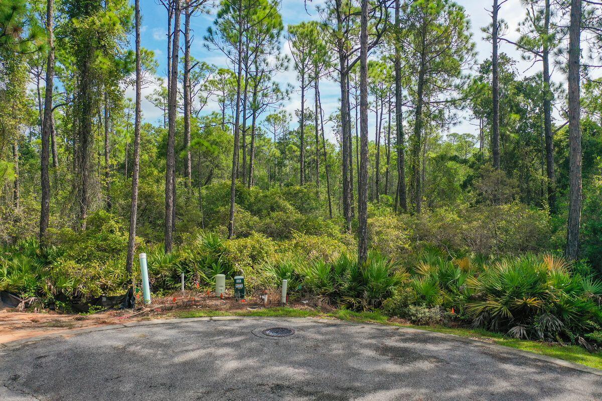 TREETOP VILLAGE - Land