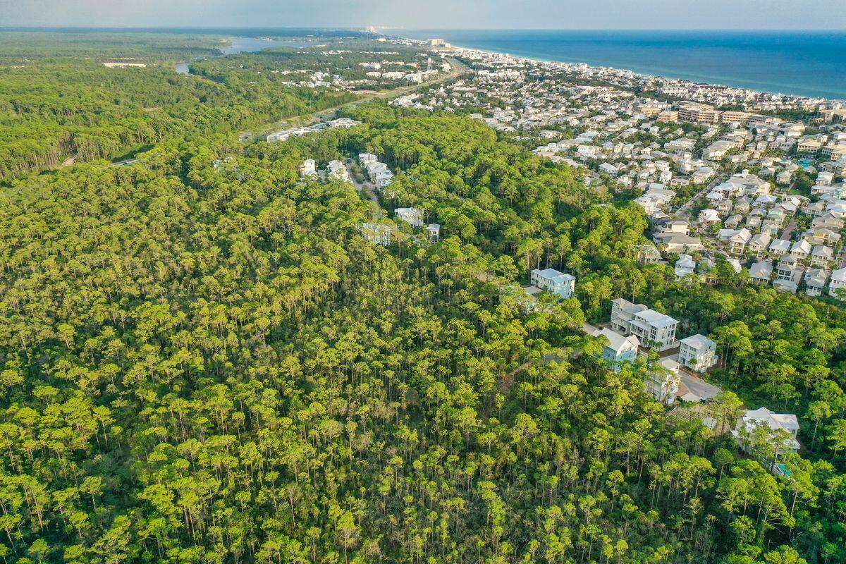 TREETOP VILLAGE - Land