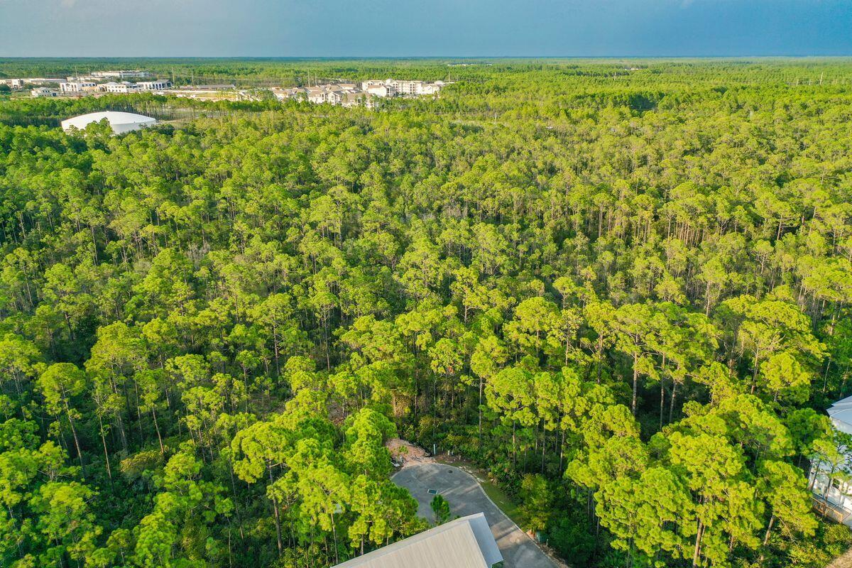 TREETOP VILLAGE - Land