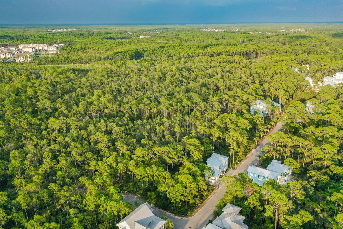 TREETOP VILLAGE - Land