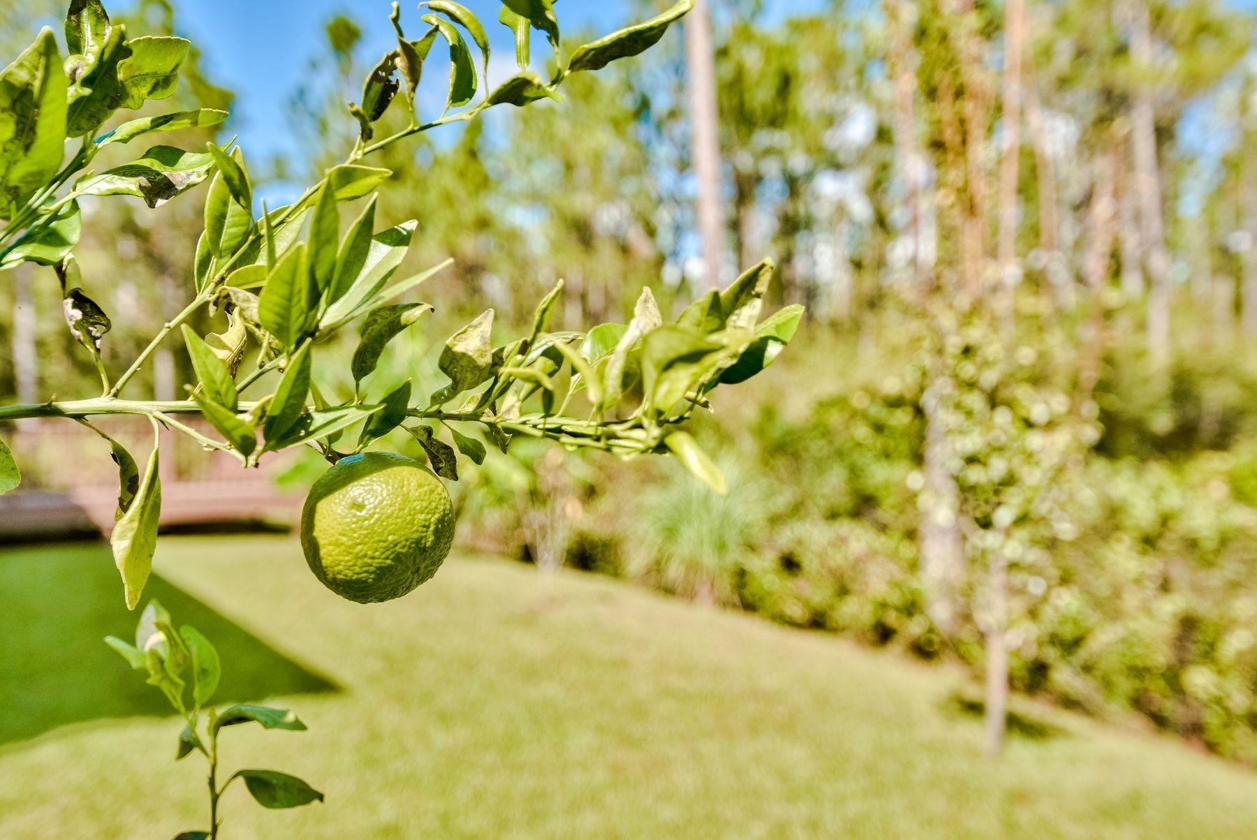 SECLUSION BAY - Residential