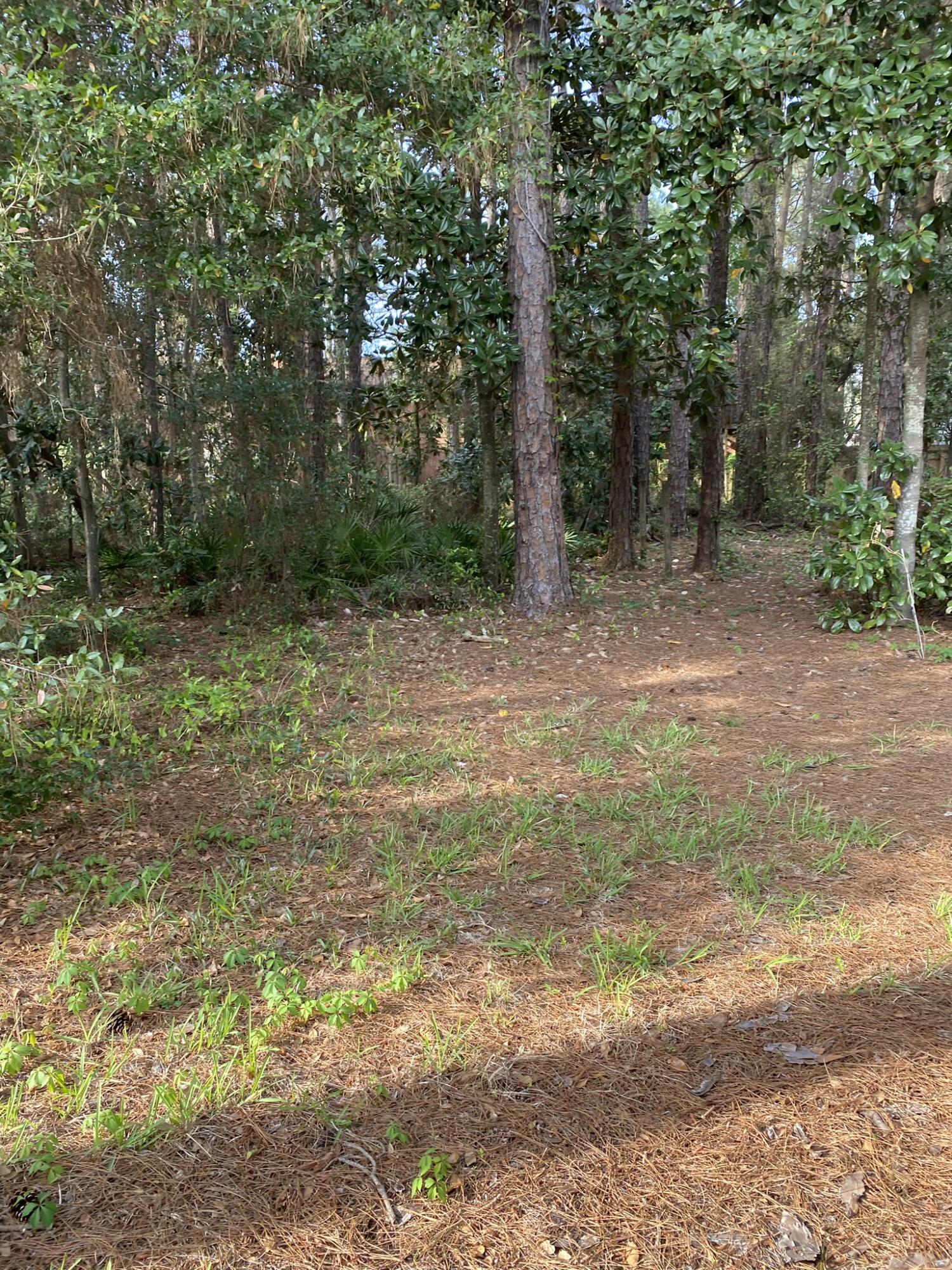 PINE SHADOWS T/H - Residential