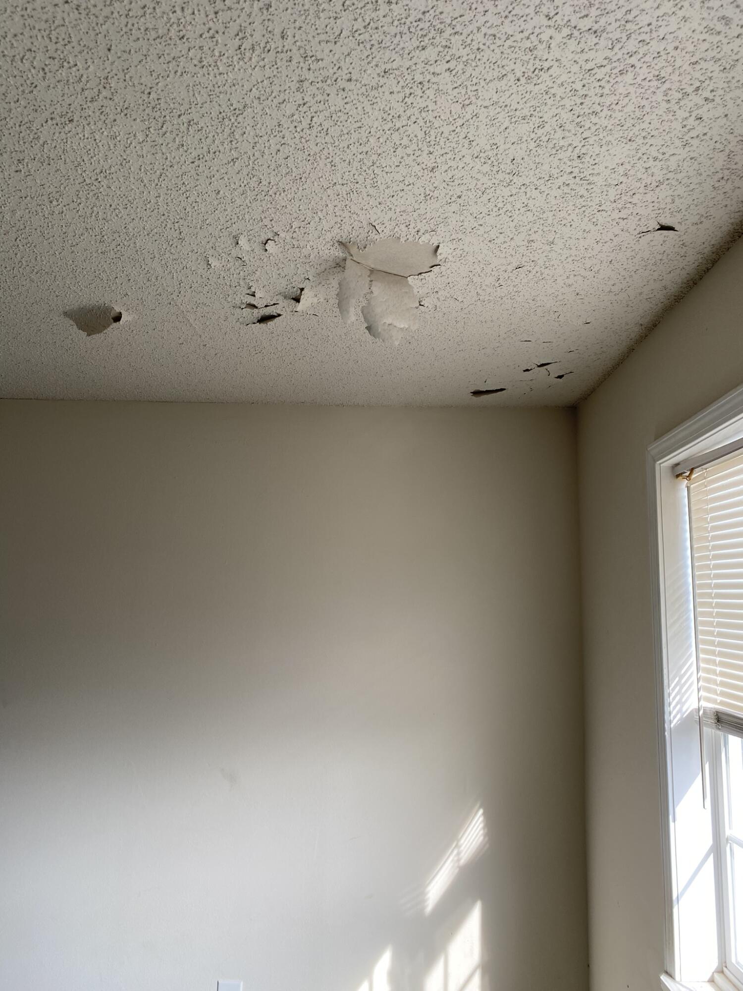 PINE SHADOWS T/H - Residential