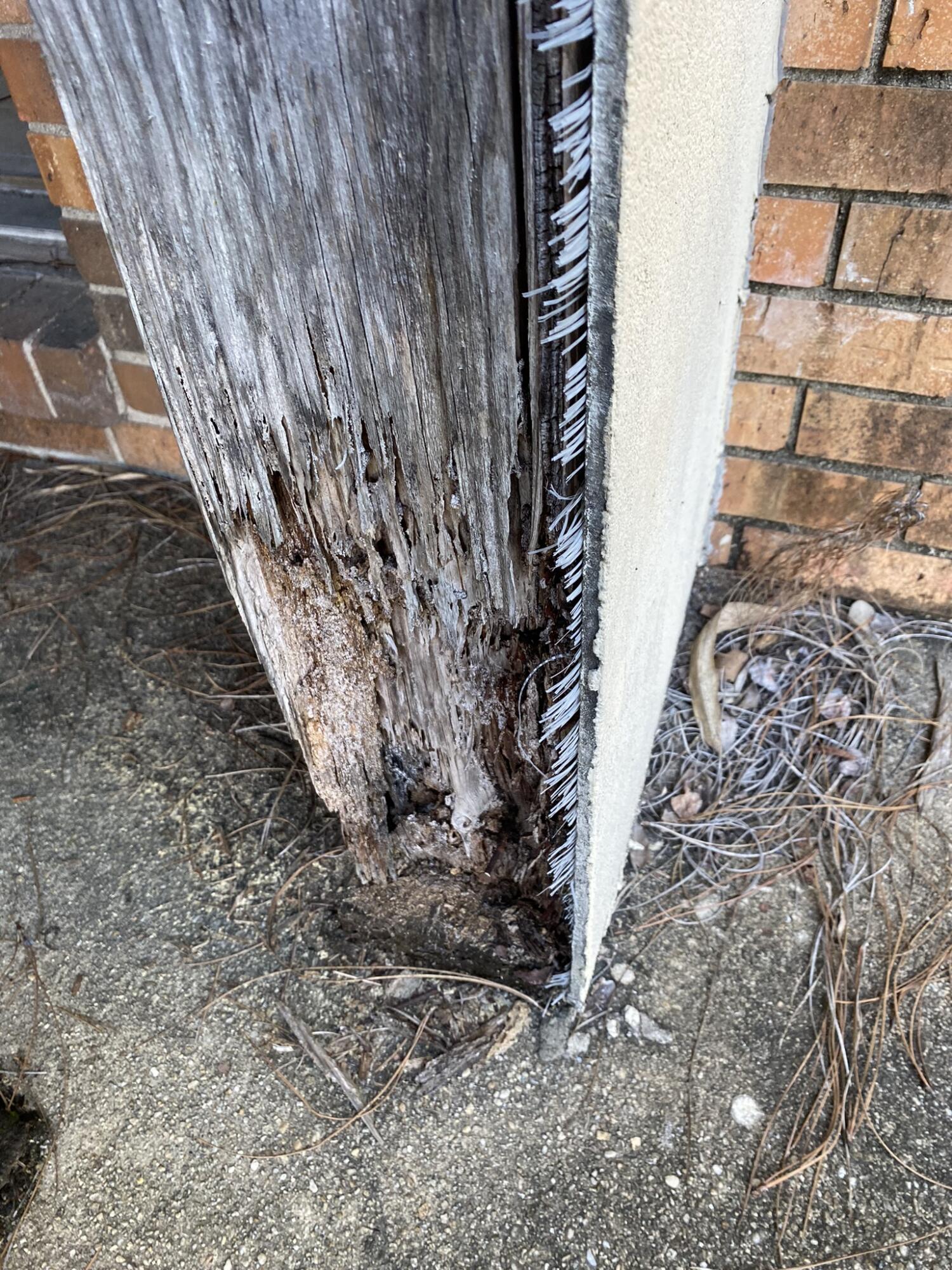 PINE SHADOWS T/H - Residential