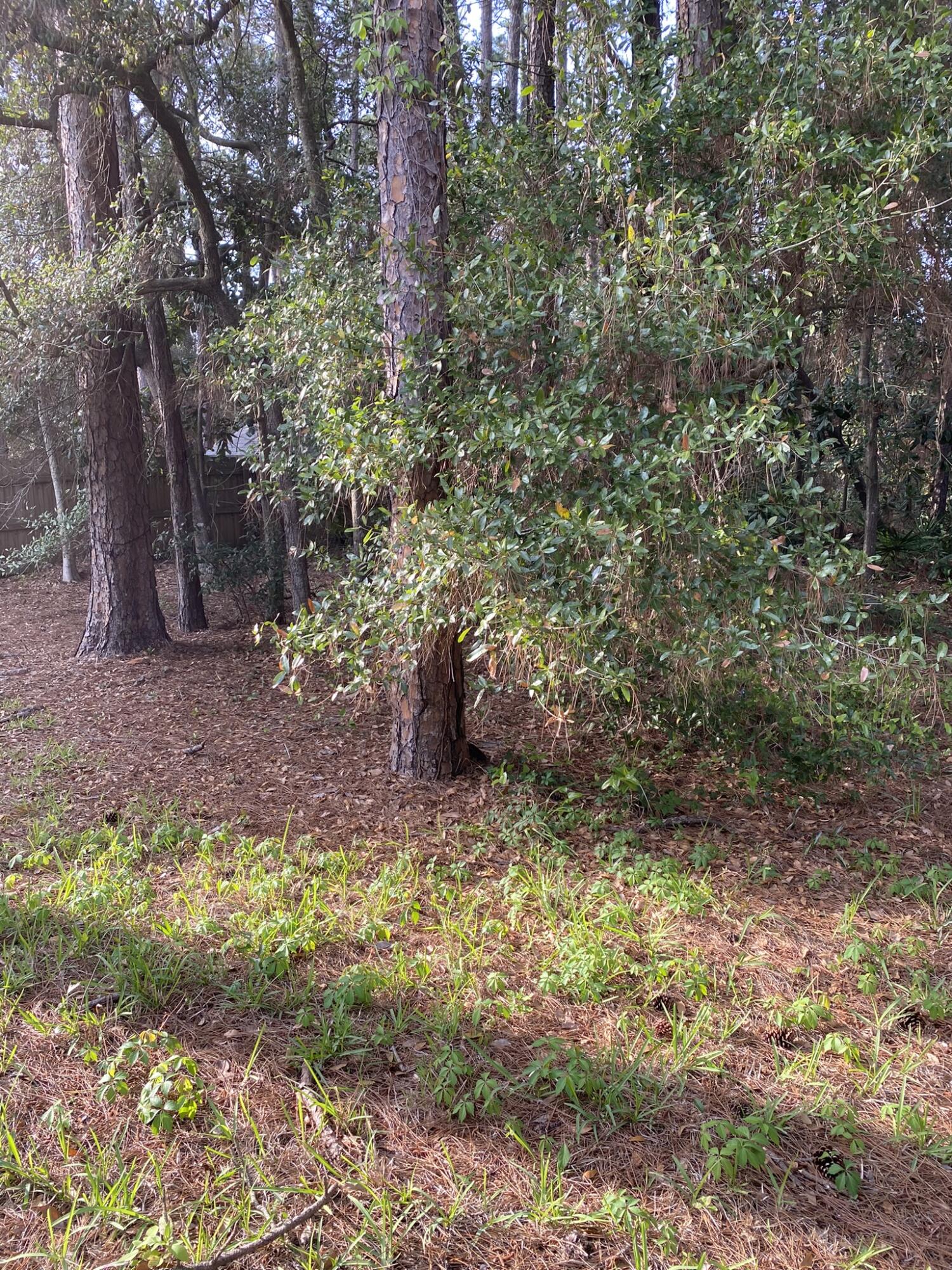 PINE SHADOWS T/H - Residential