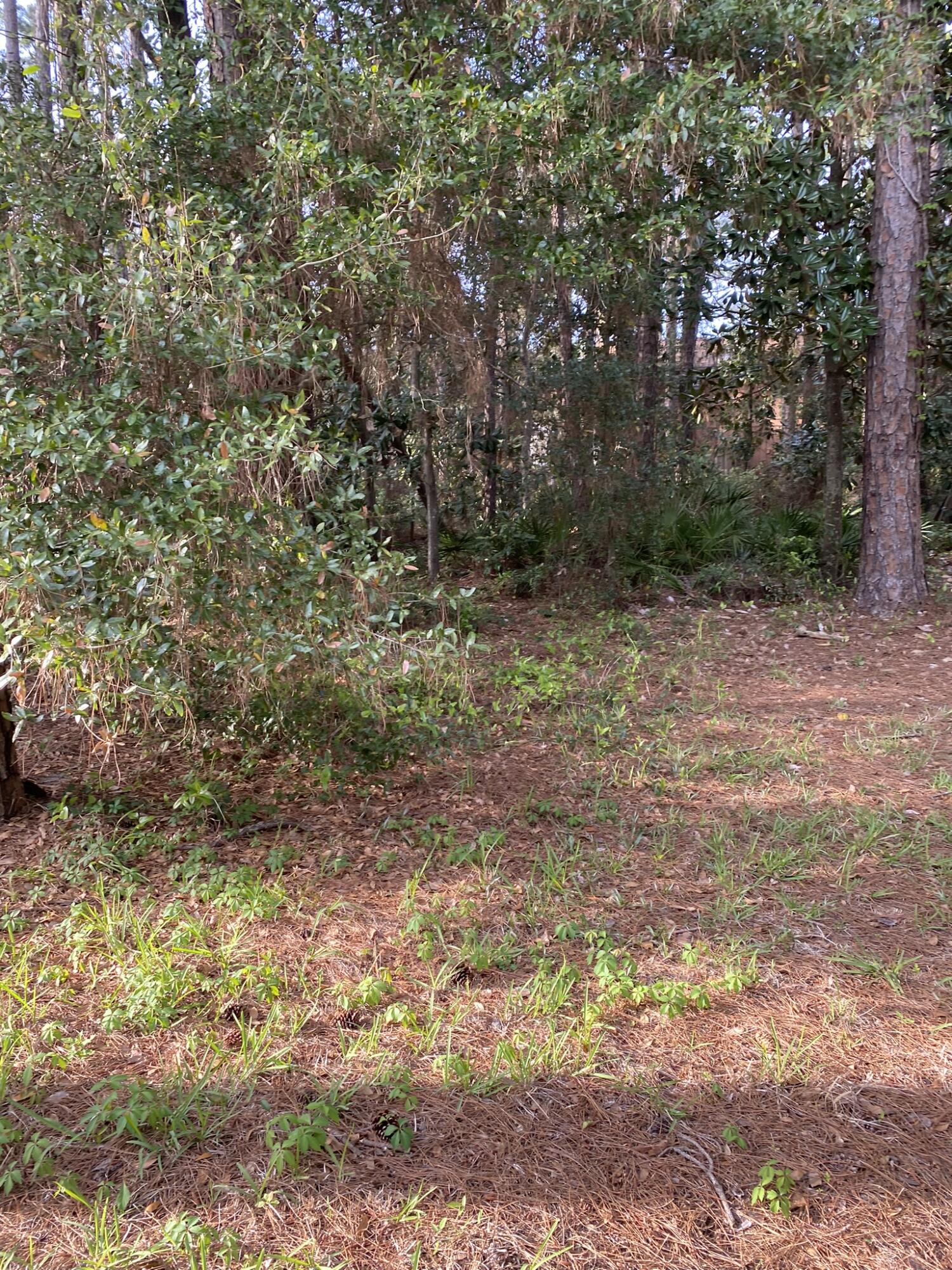 PINE SHADOWS T/H - Residential