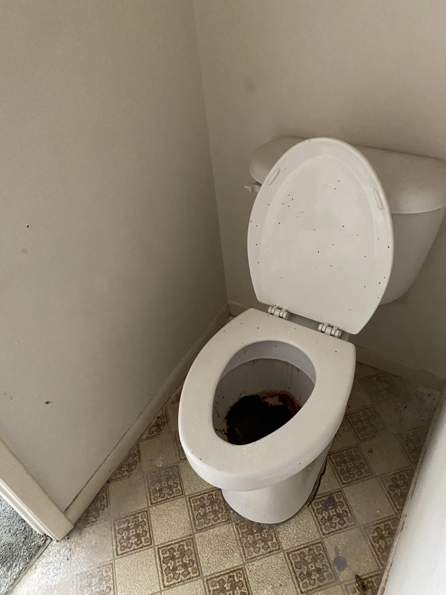 PINE SHADOWS T/H - Residential