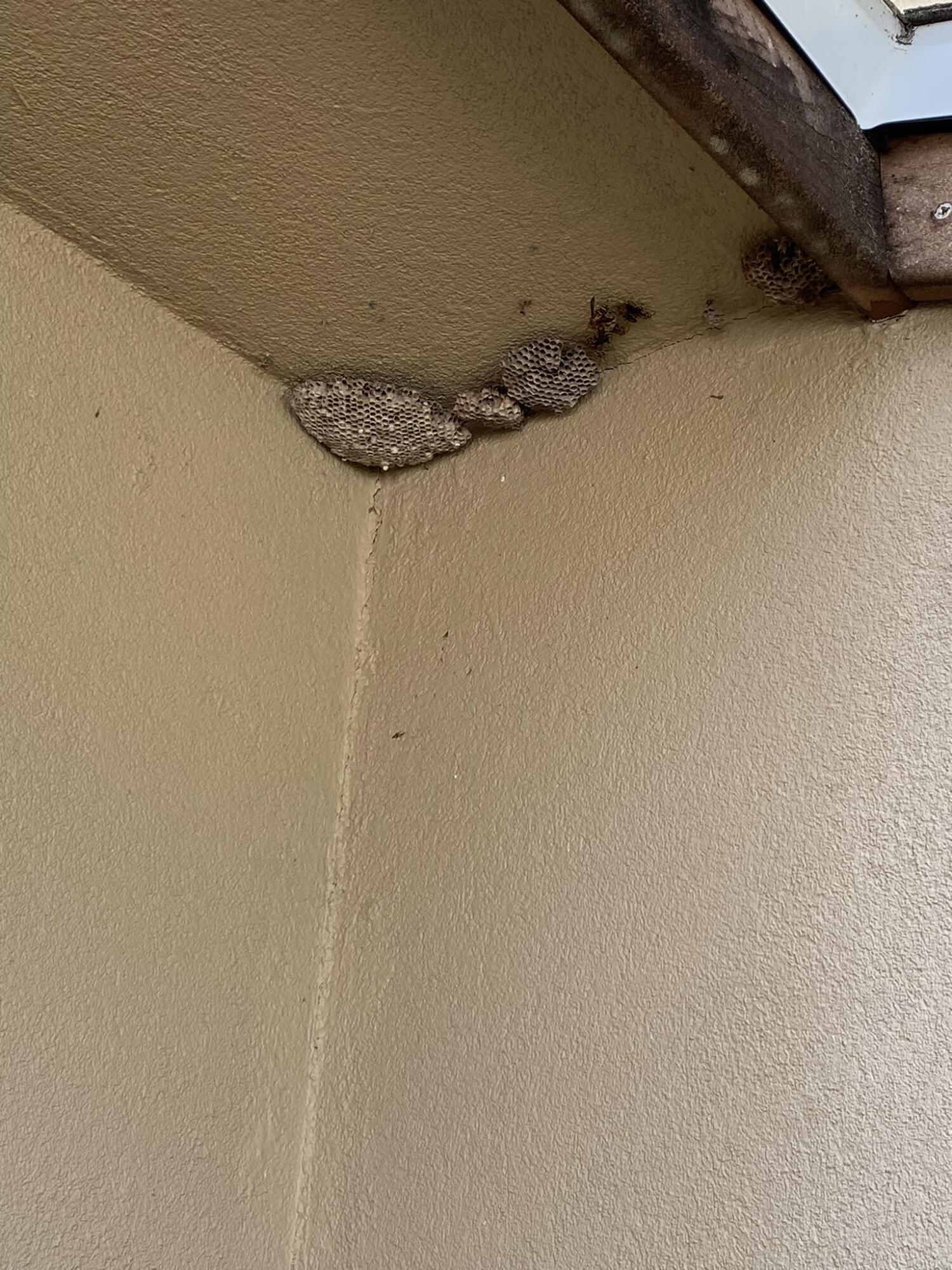 PINE SHADOWS T/H - Residential