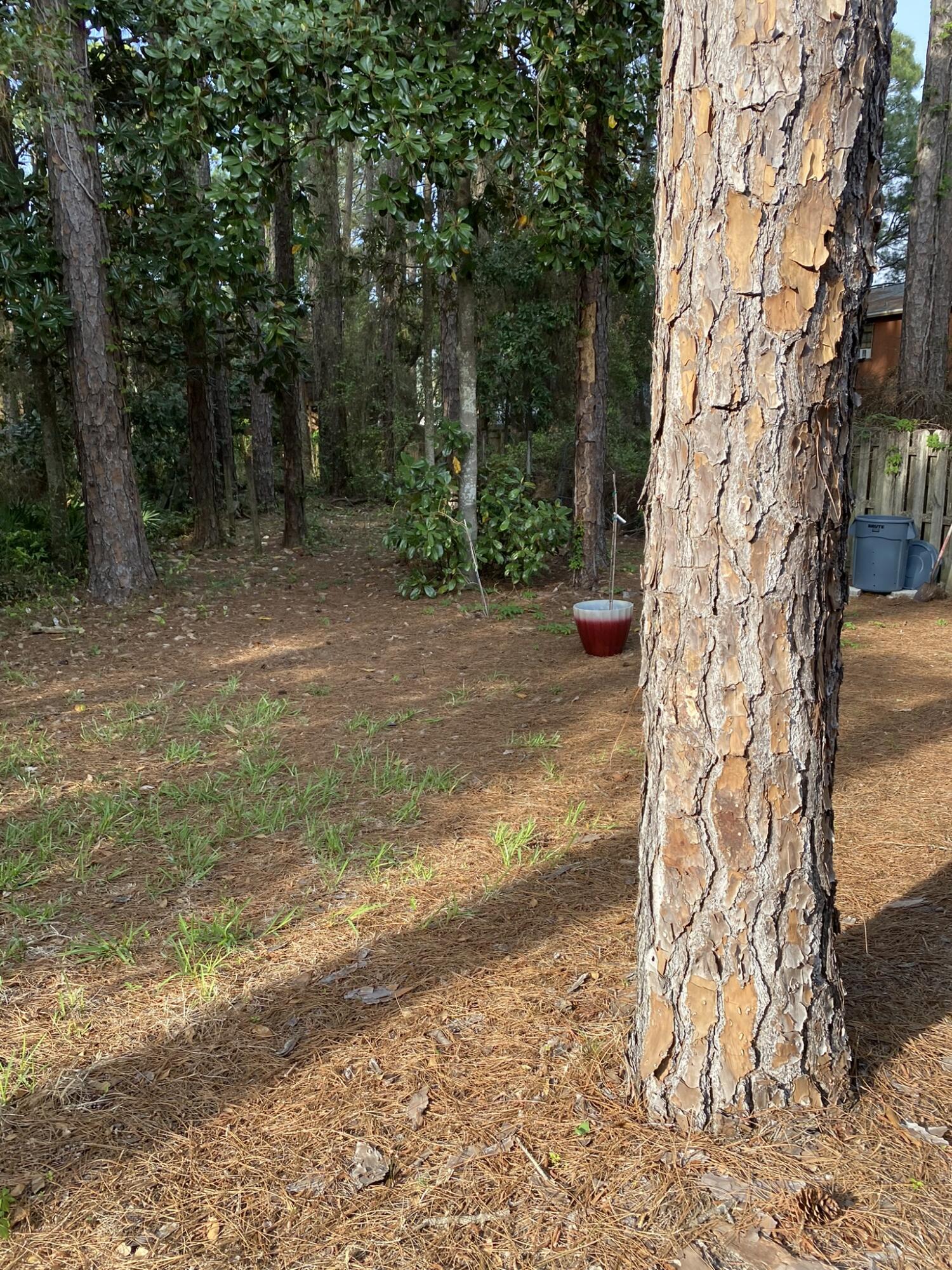 PINE SHADOWS T/H - Residential