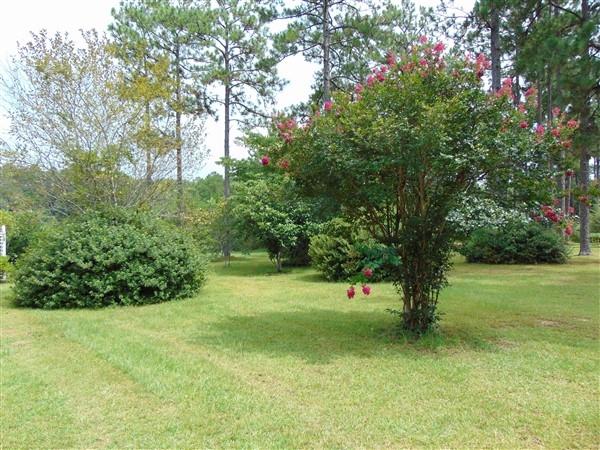 PINE SHORES - Residential