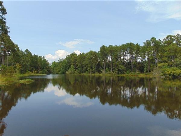 PINE SHORES - Residential