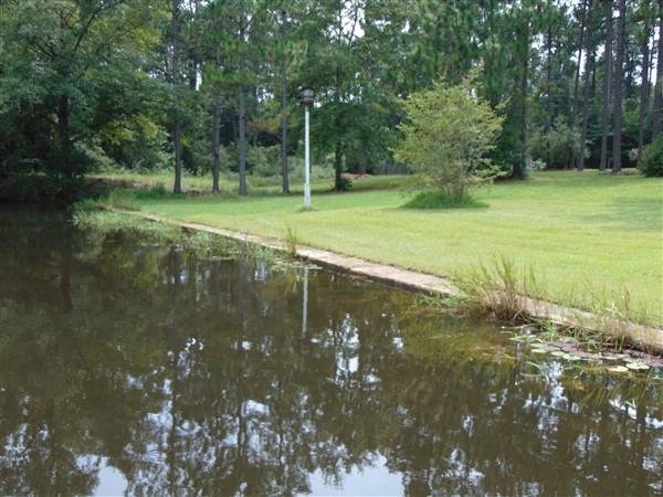 PINE SHORES - Residential