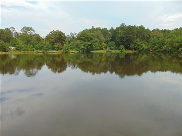 PINE SHORES - Residential