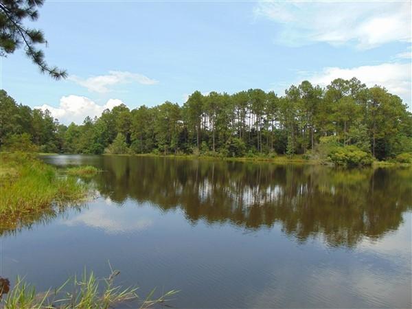 PINE SHORES - Residential