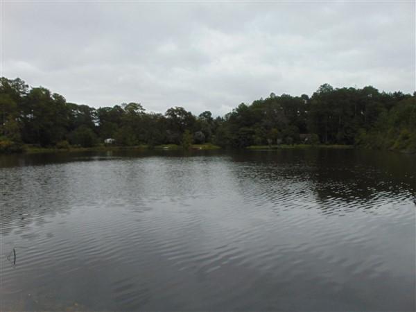 PINE SHORES - Residential