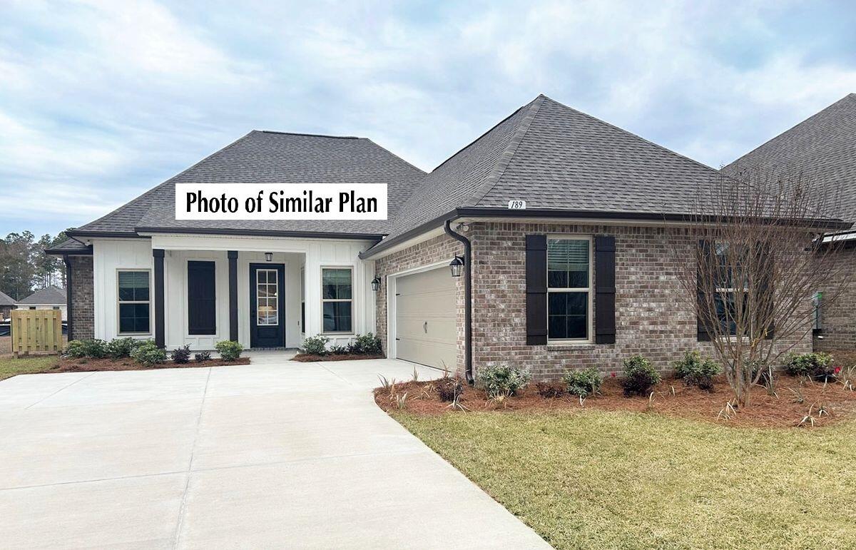 HAMMOCK BAY - STARBURST - Residential