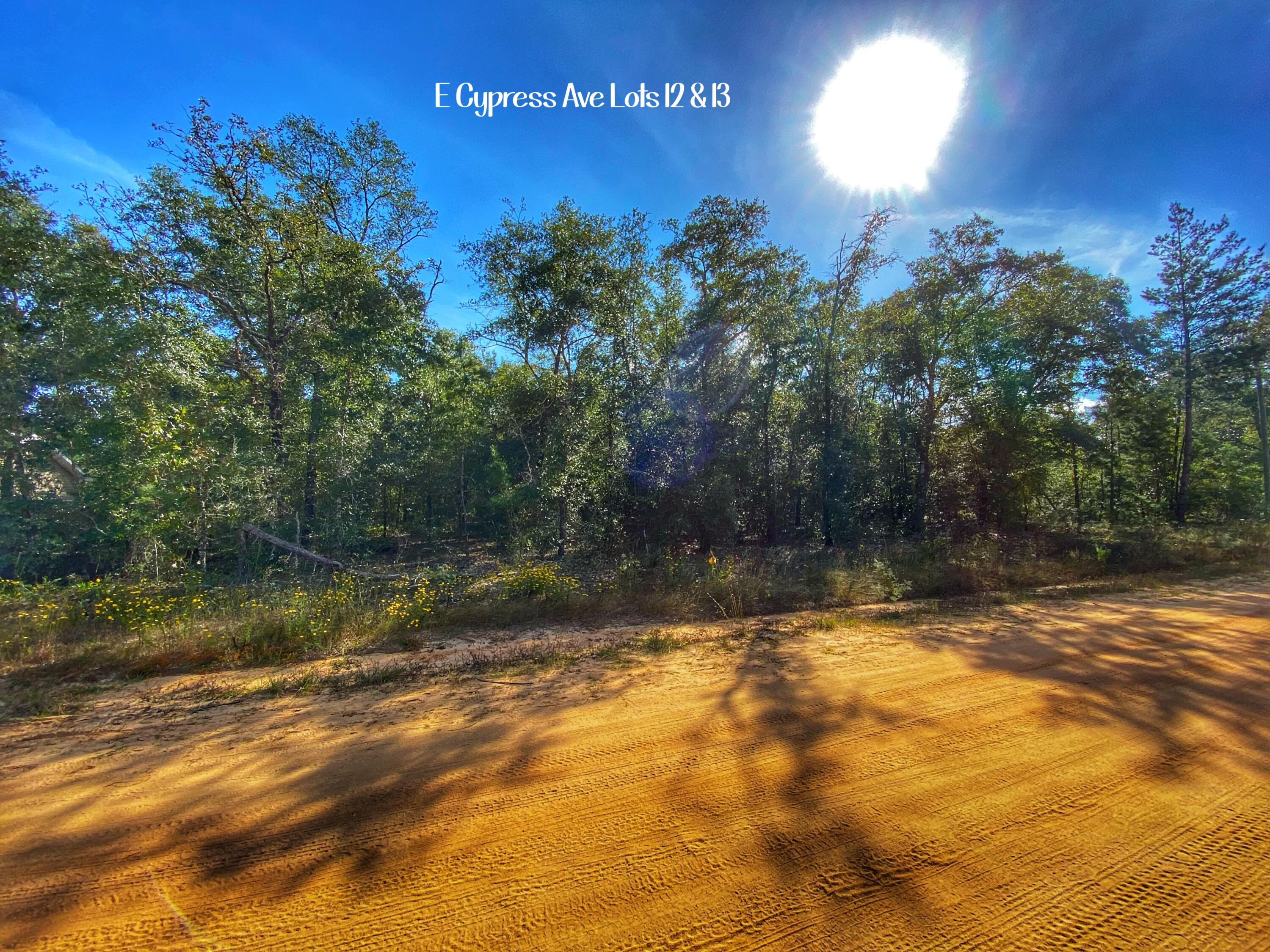 CALLING ALL BUILDERS AND HOMESITE SEEKERS!!! This wooded 0.92 acres consists of four lots. Only minutes from I10 and the beautiful beaches of South Walton. Bring us an offer today!