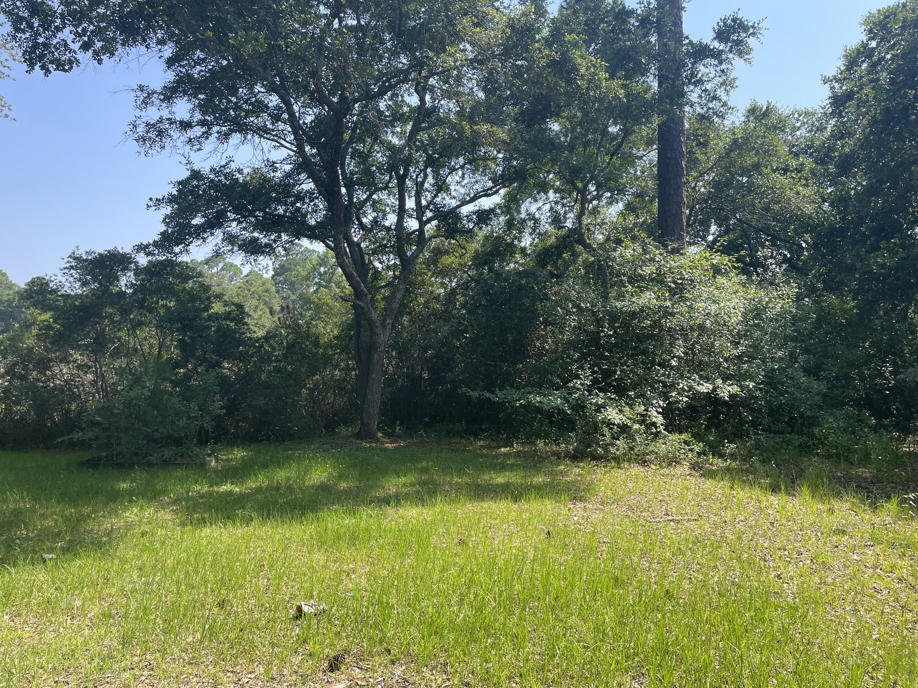 BAYOU GRANDE ESTATES - Land