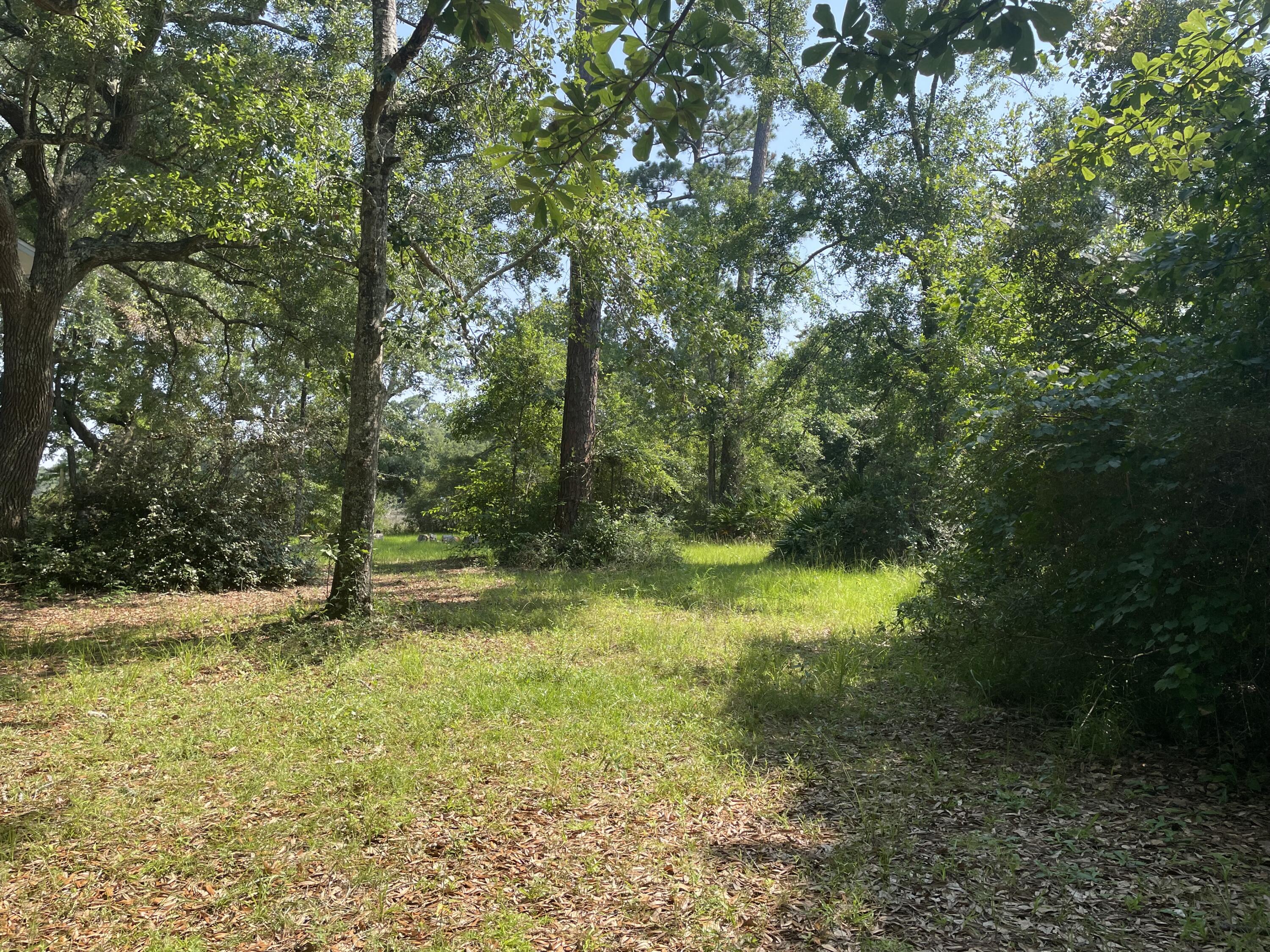 BAYOU GRANDE ESTATES - Land