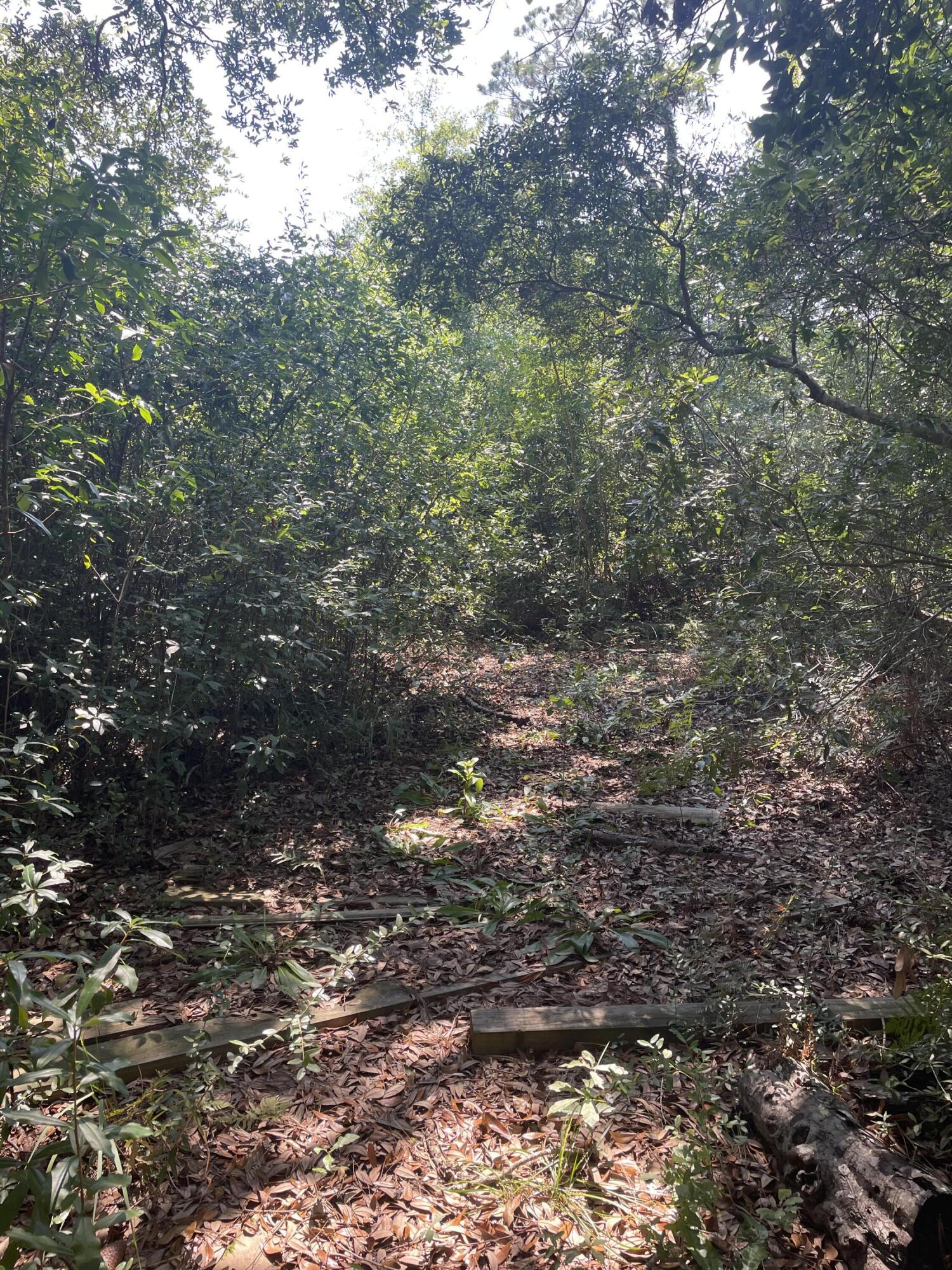 BAYOU GRANDE ESTATES - Land