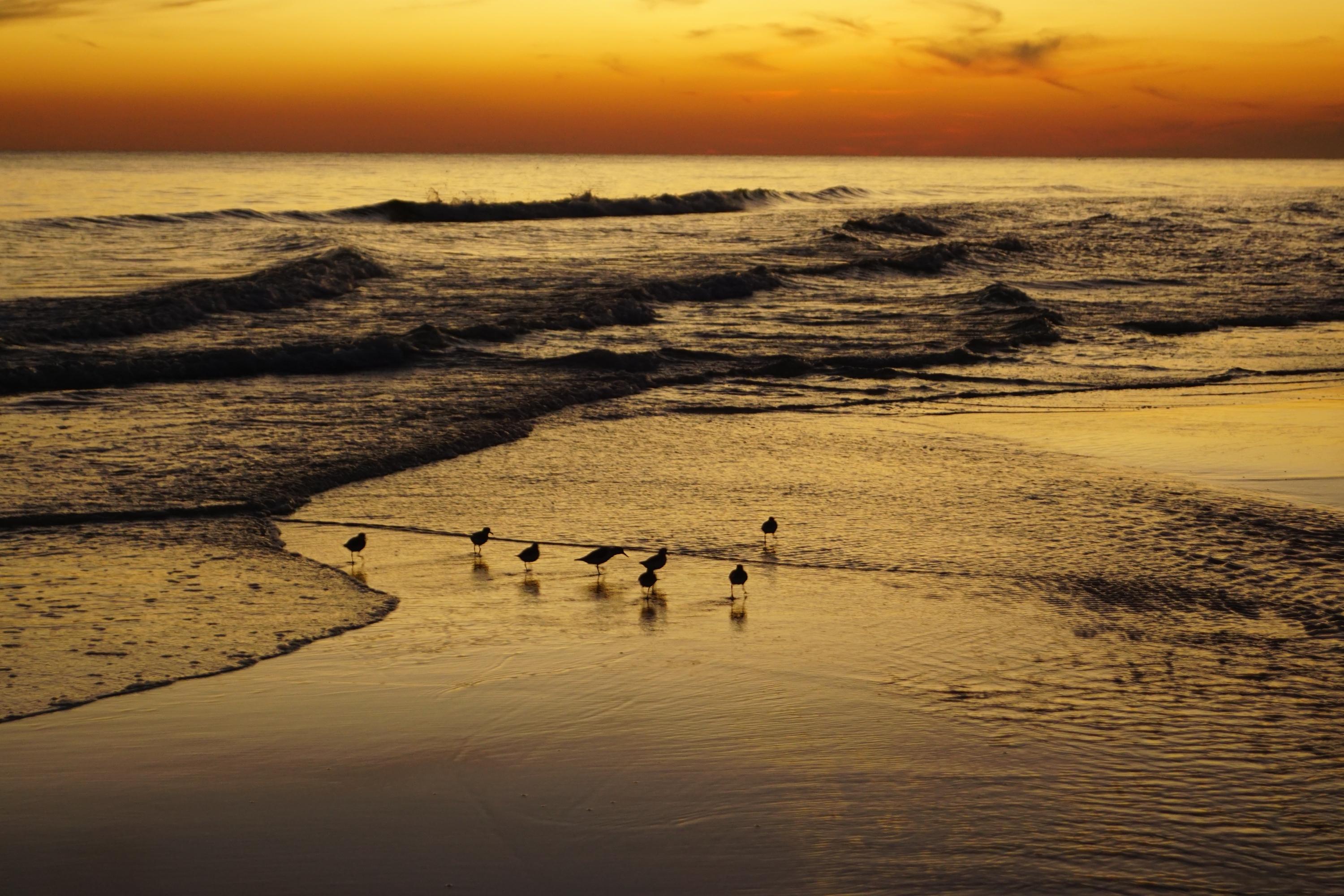 HIDDEN DUNES GRAND VILLAS - Residential