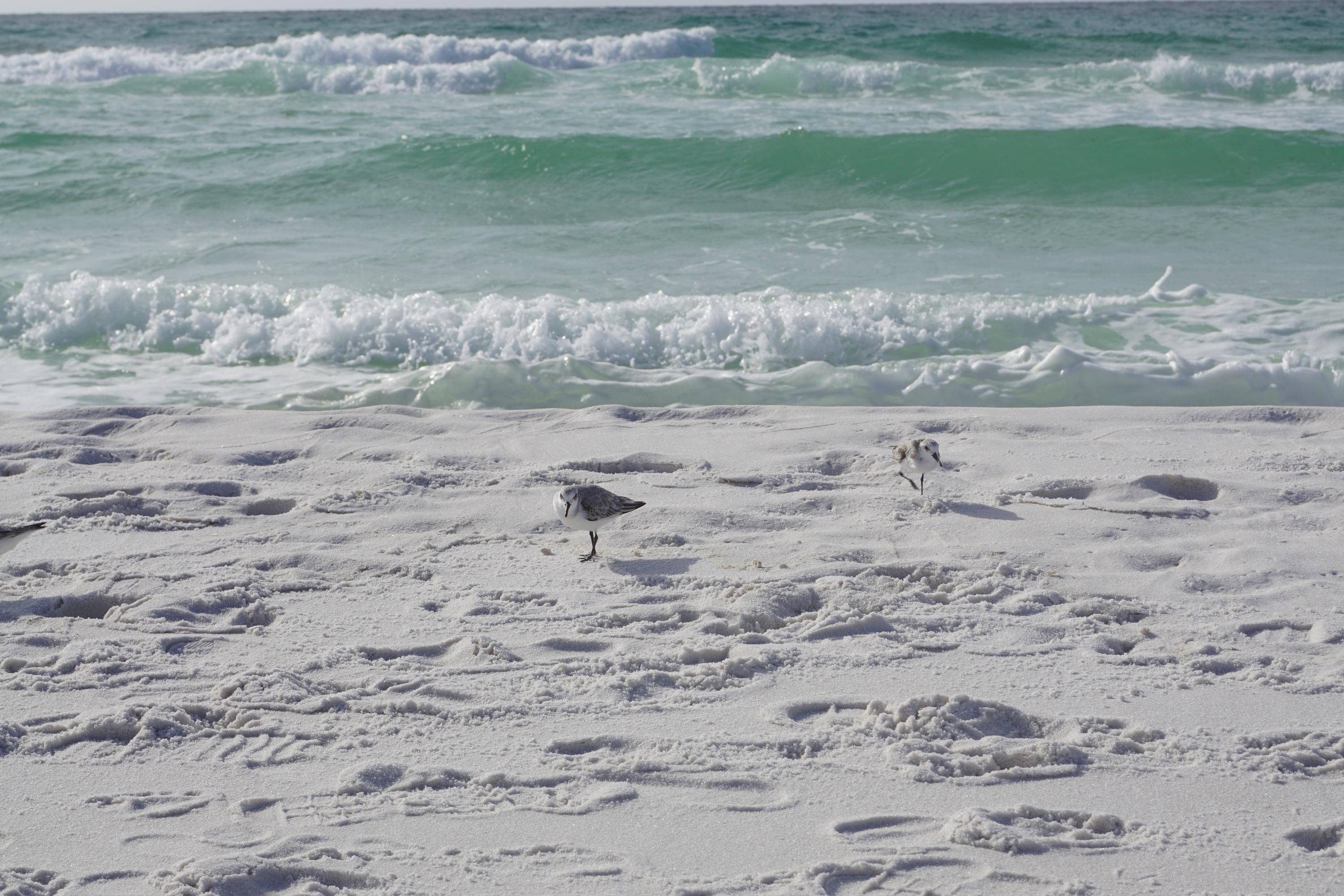 HIDDEN DUNES GRAND VILLAS - Residential