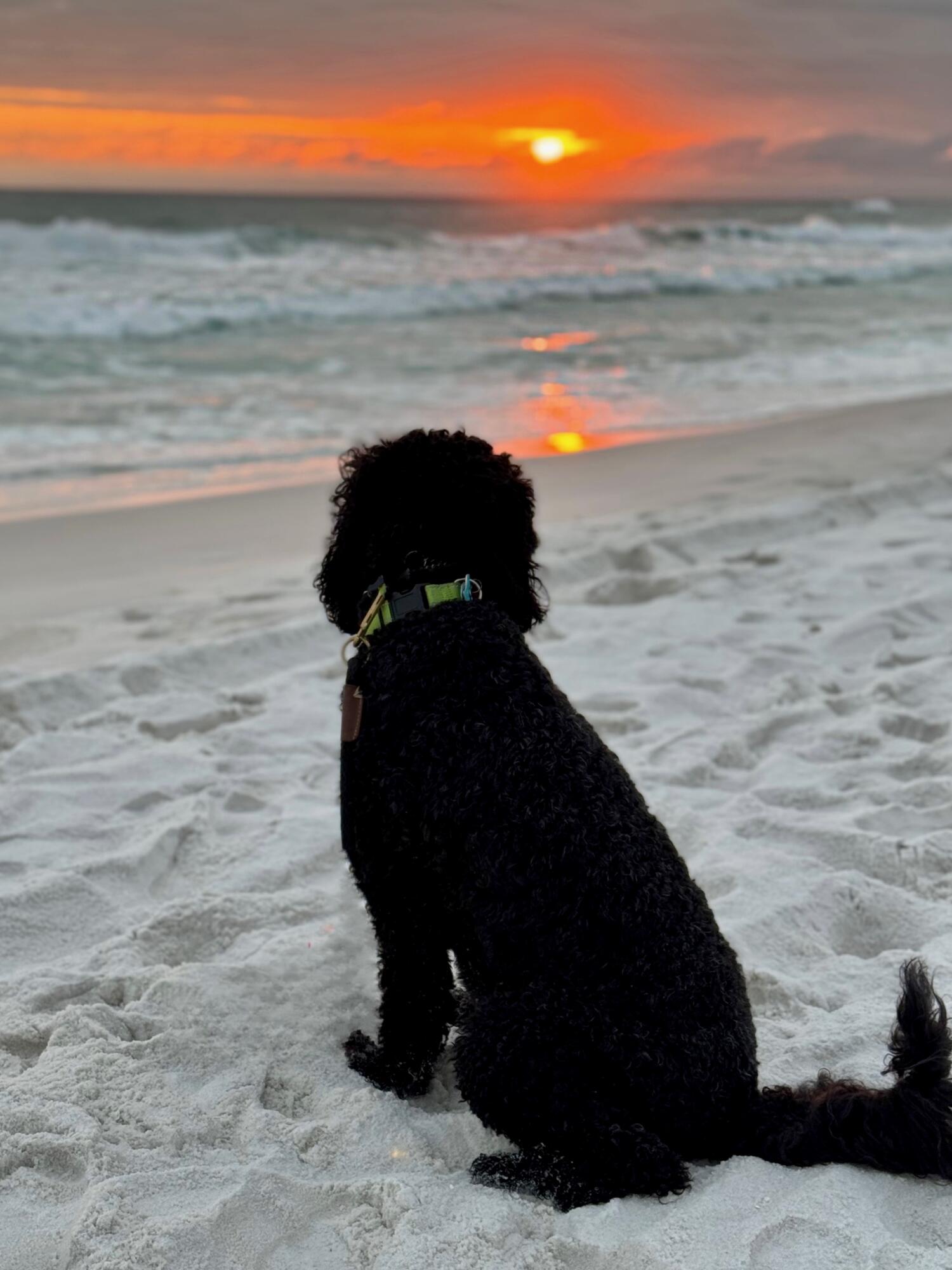 MAINSAIL CONDO PH 3 - Residential