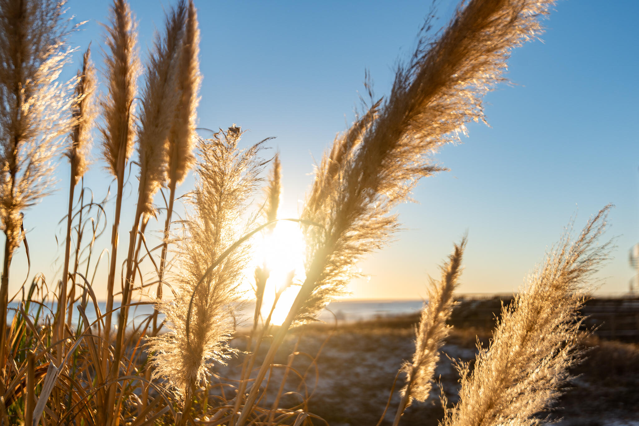 MAINSAIL CONDO PH 3 - Residential