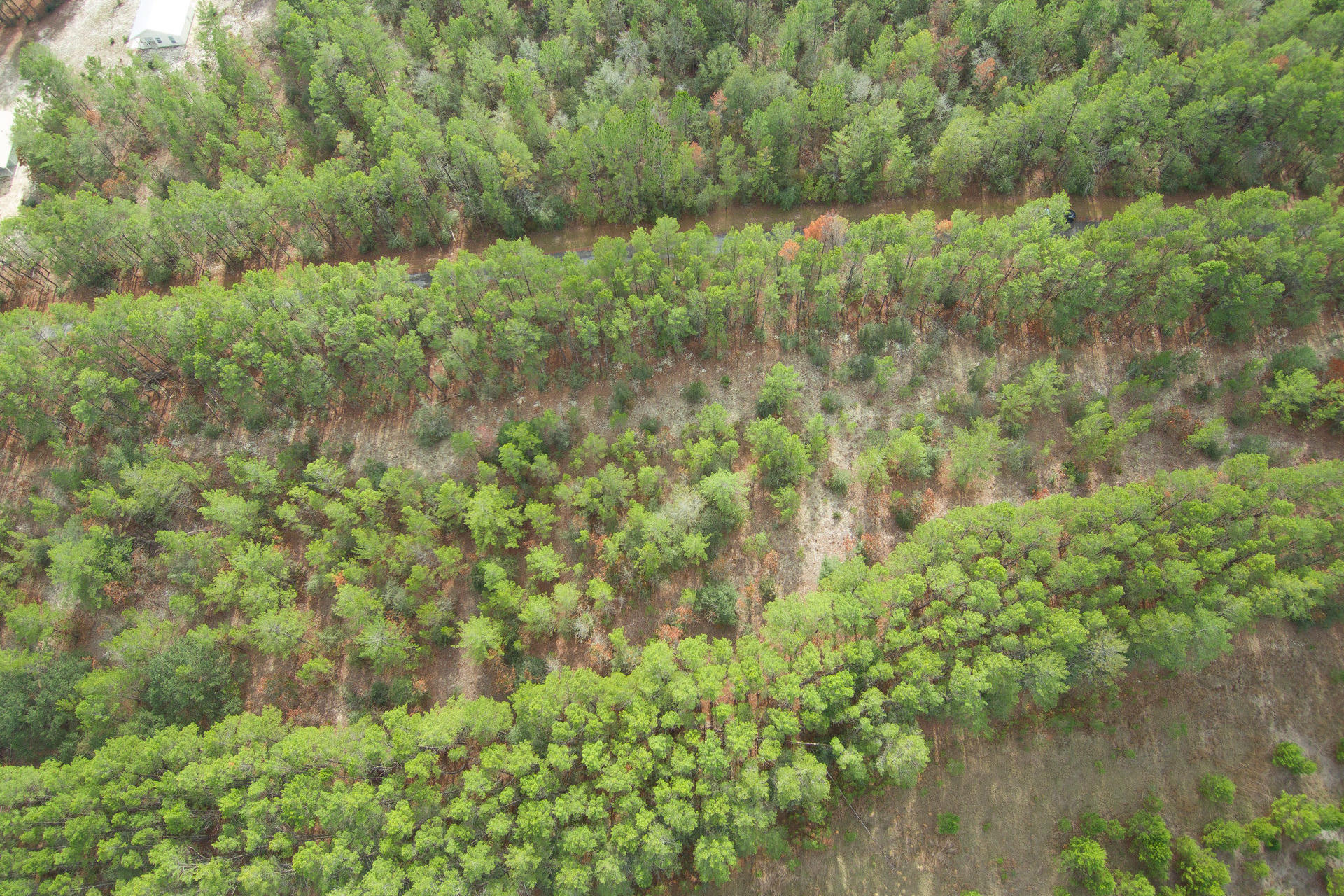 RED BAY GOLF CLUB PH 1 - Land