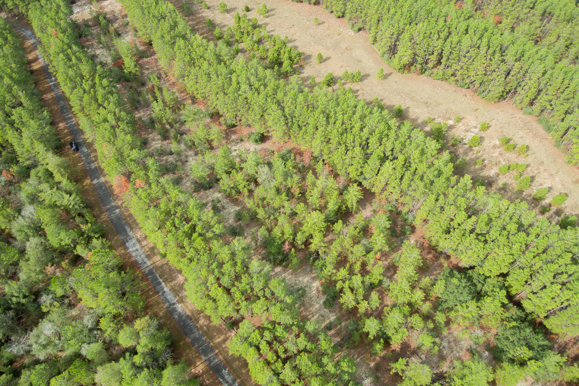 RED BAY GOLF CLUB PH 1 - Land