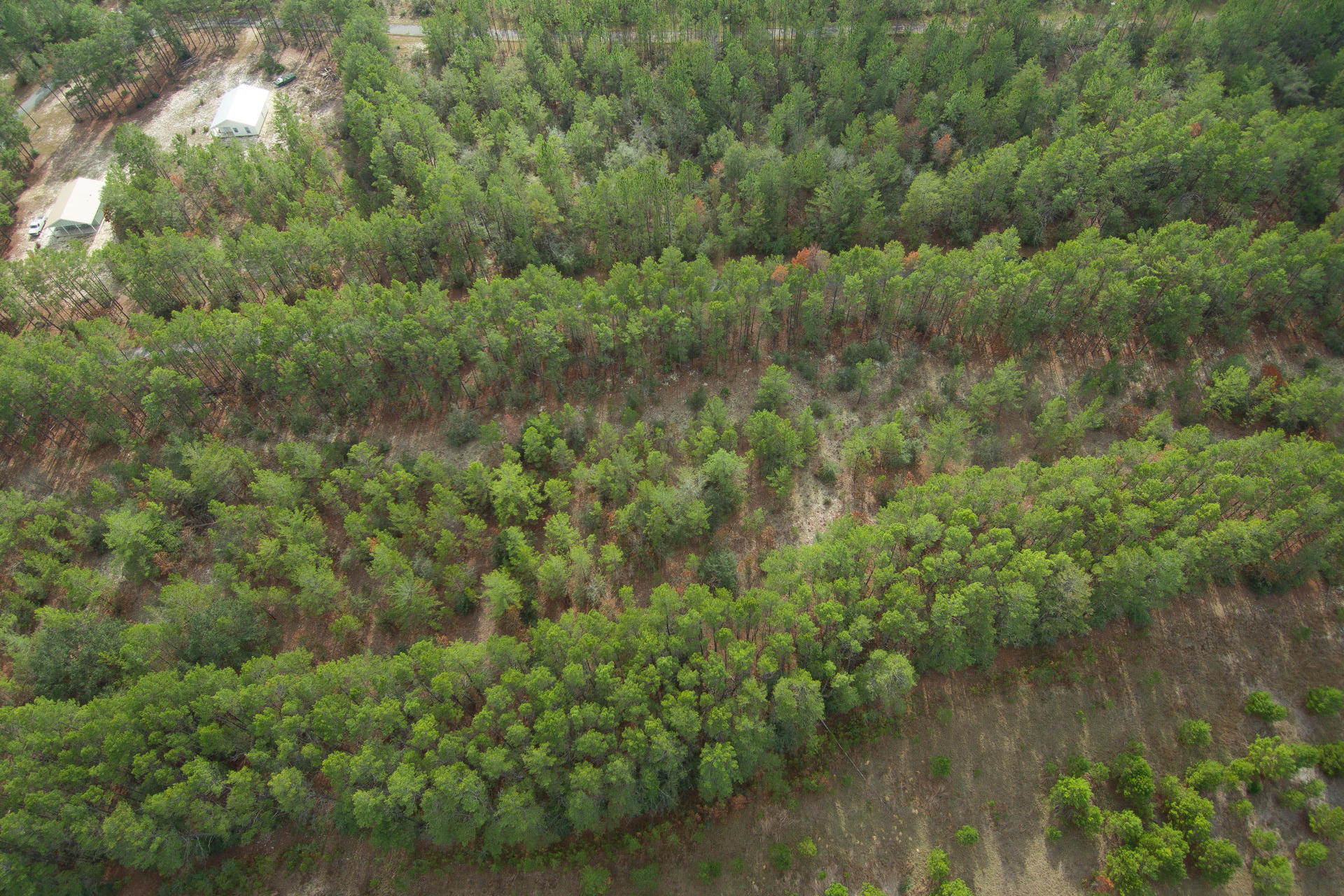 RED BAY GOLF CLUB PH 1 - Land