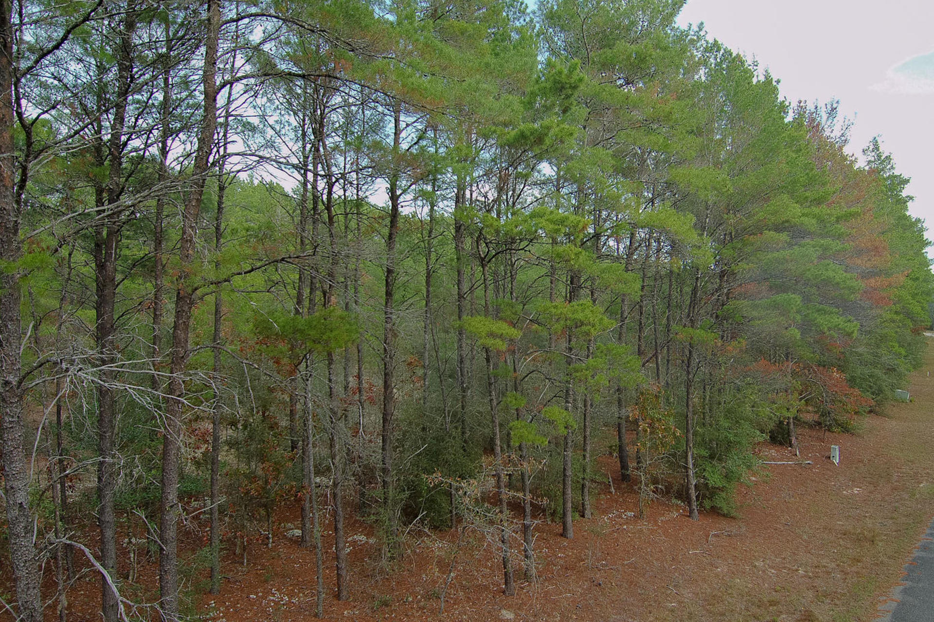 RED BAY GOLF CLUB PH 1 - Land