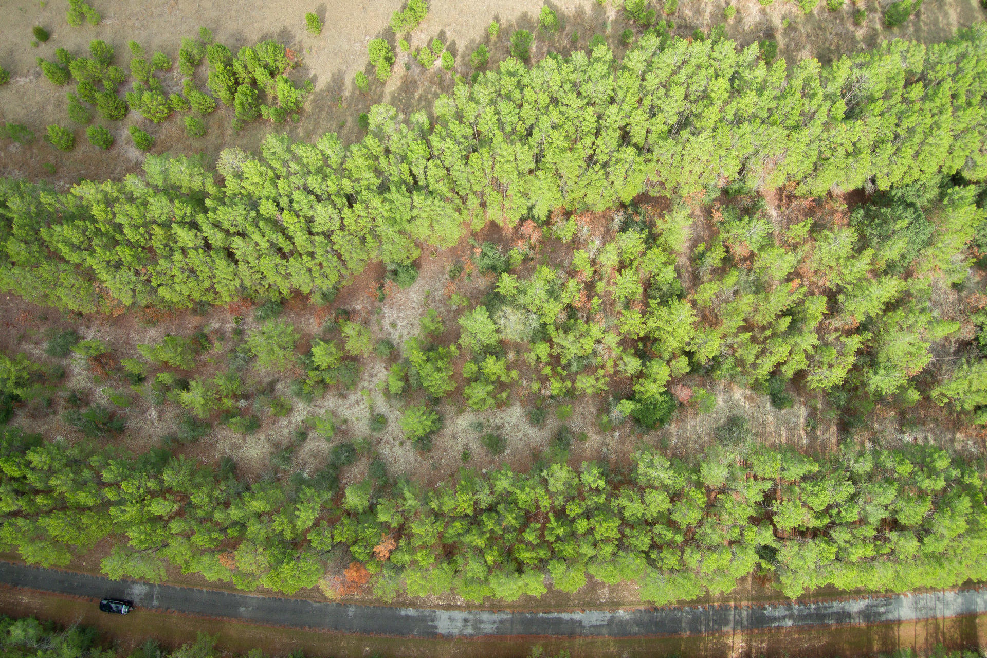 RED BAY GOLF CLUB PH 1 - Land