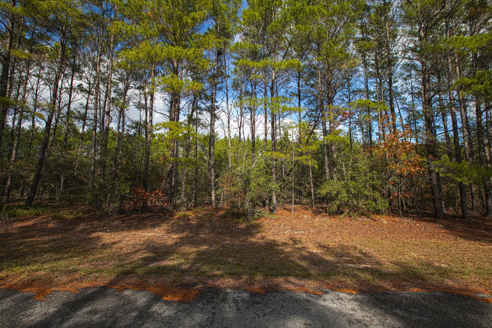 RED BAY GOLF CLUB PH 1 - Land