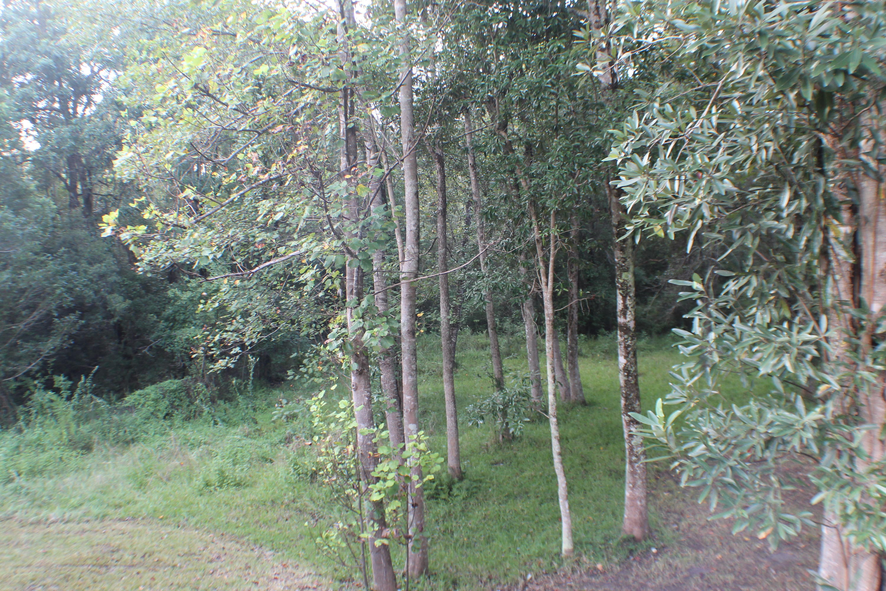 6.89 Acres
