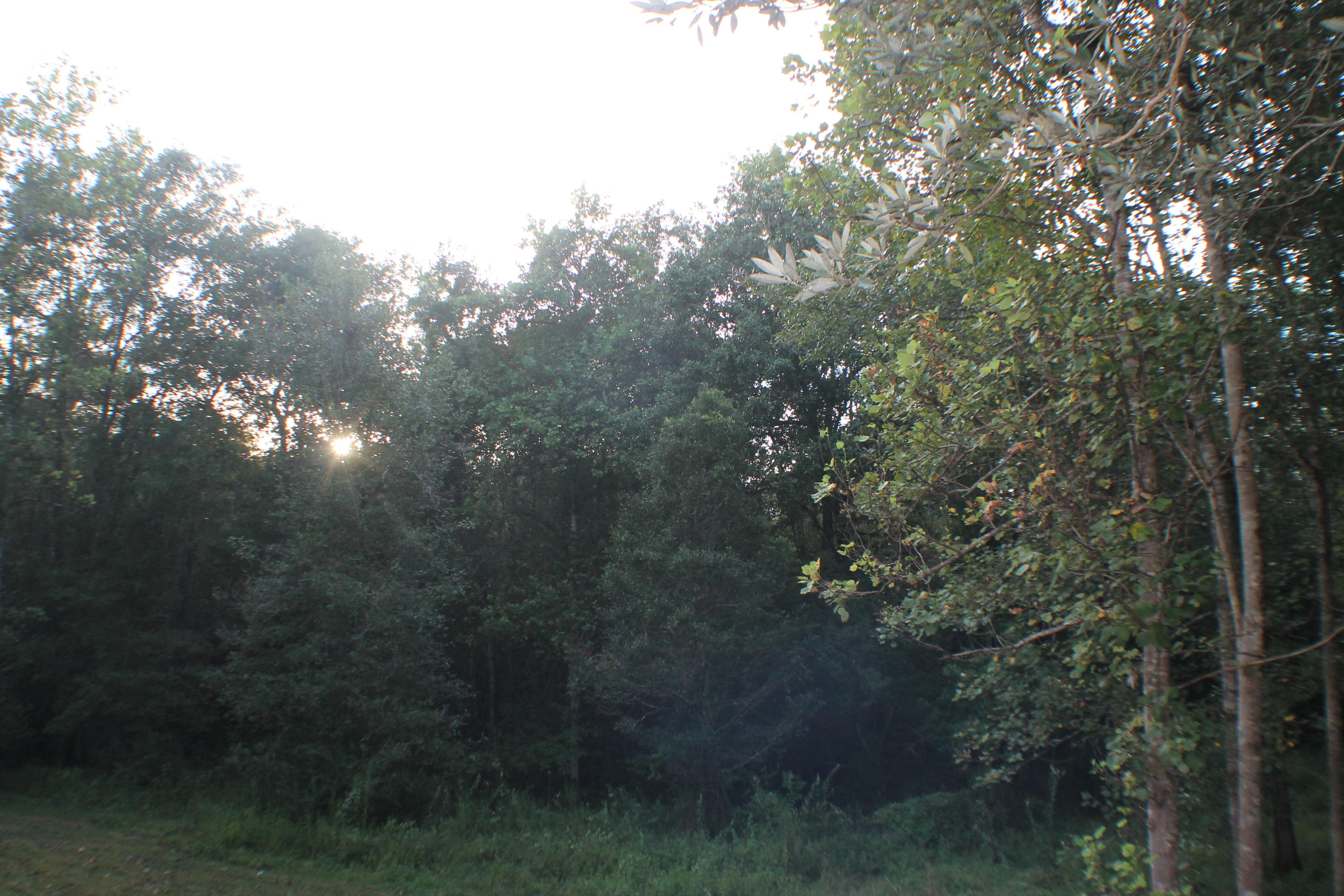 METES & BOUNDS - Land