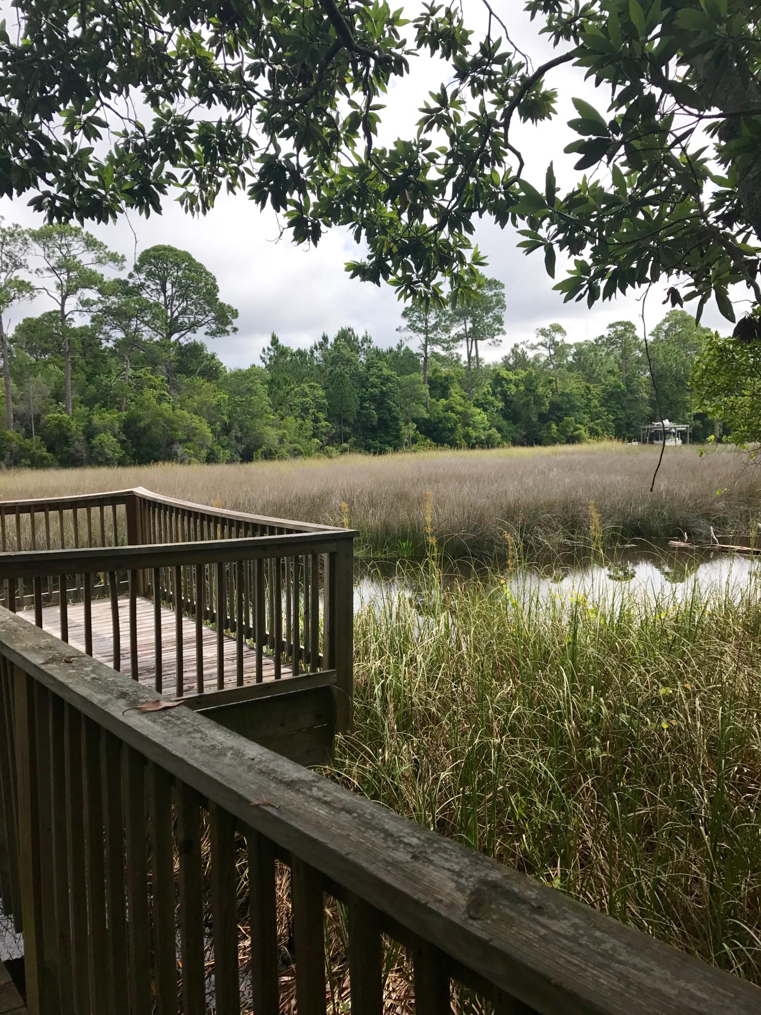 PRESERVE AT INLET BEACH - Land