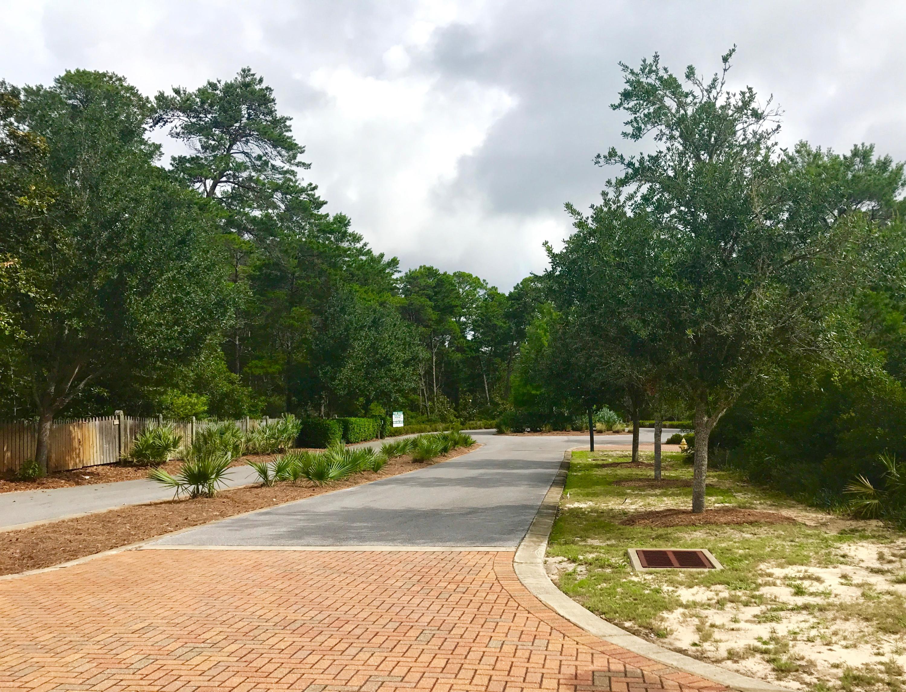 PRESERVE AT INLET BEACH - Land