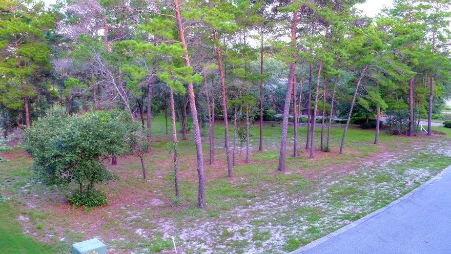 MOTIVATED SELLER!Beautiful home lot in the gated waterfront community of Wild Heron. Lot backs up to waterfront conservation area. Craftsmand style executive homes are located in this area of Wild Heron. This is the closest gated large community to the 30A area without having to pay 30A home and lot prices. 1610 Shark's Tooth Trail also available at $59,900.