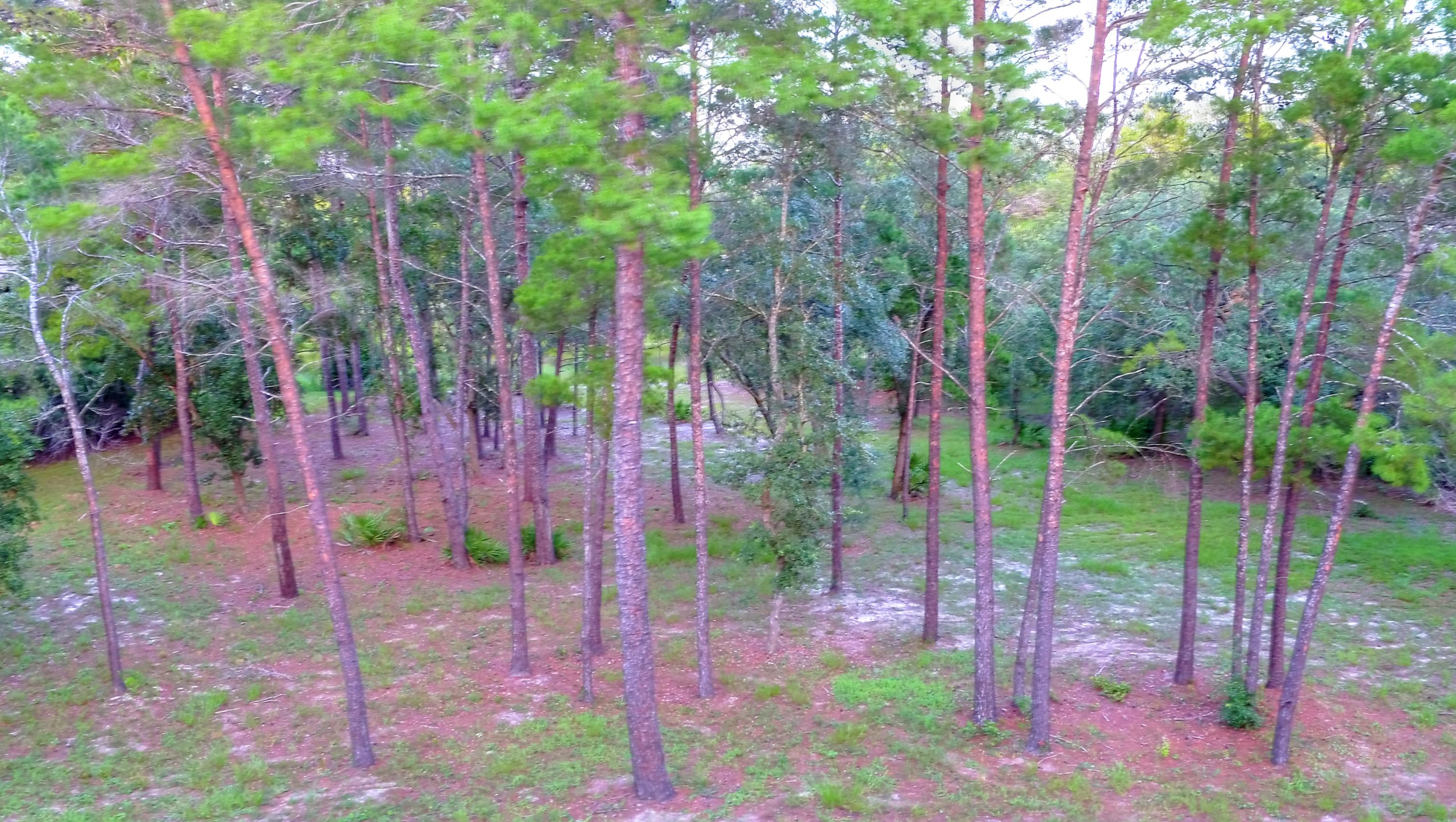 FINISTERRE S/D - Land