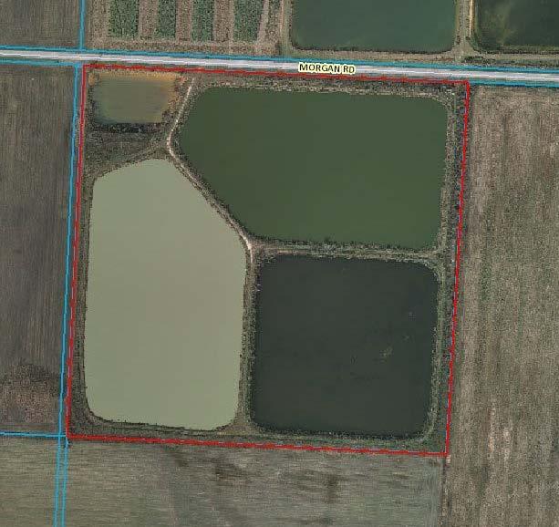 WALNUT HILL, FLORIDA...BEAUTIFUL COUNTRY SIMPLICITY! There are (3) 4 foot deep, 12 acre, ponds on this 40 acres. The ponds were used in the past for Catfish and Duck hunting. Beautiful, quiet area to build a home site and watch the kids fish. This property would make a great place to construct your new home. Also, the property has the possibility to be a wonderful investment with the capability of making the ponds income-producing once again.