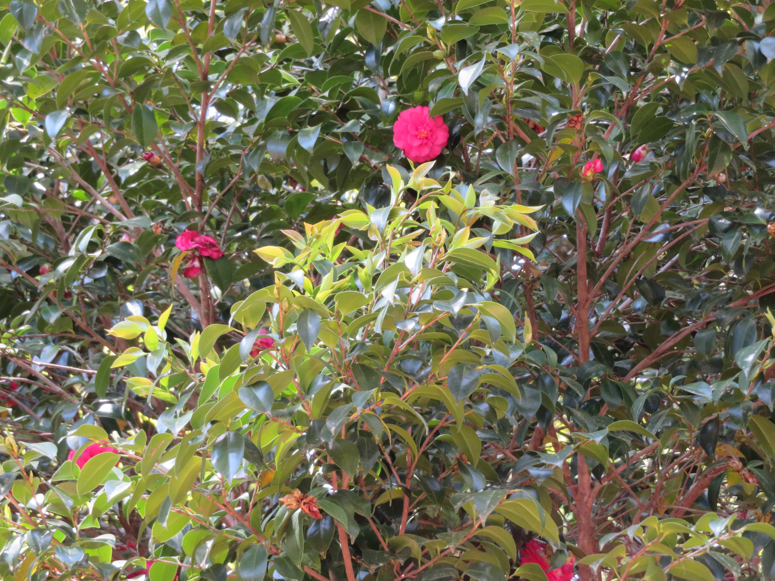 no Subdivision - Residential